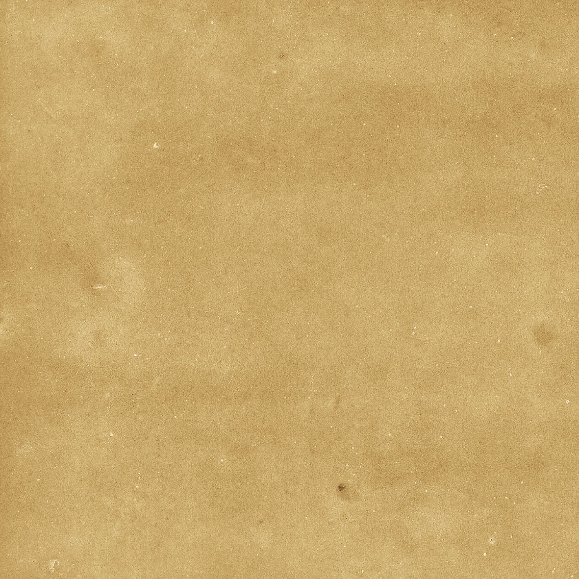 43288 Samira Gold 10x10 Harmony фото 22