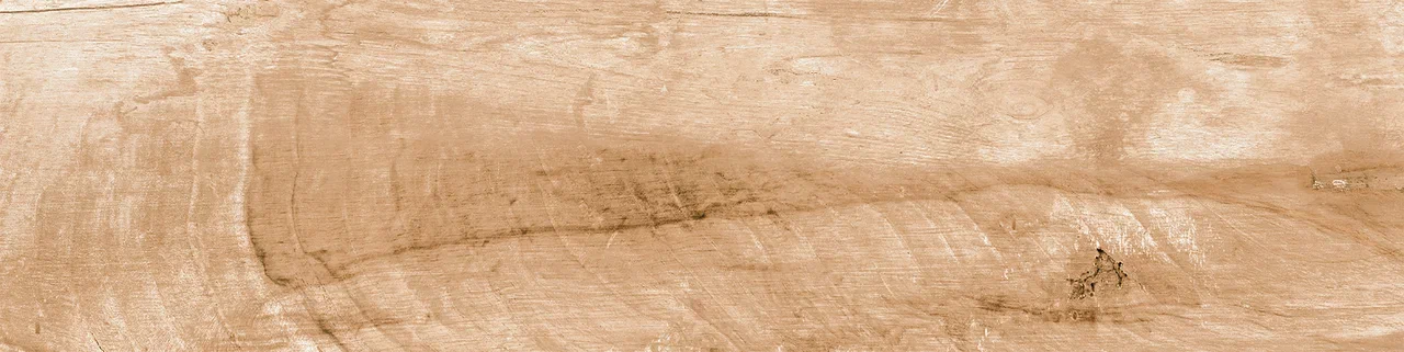 0054 PHOENIX 60х15х08 Eurotile Ceramica