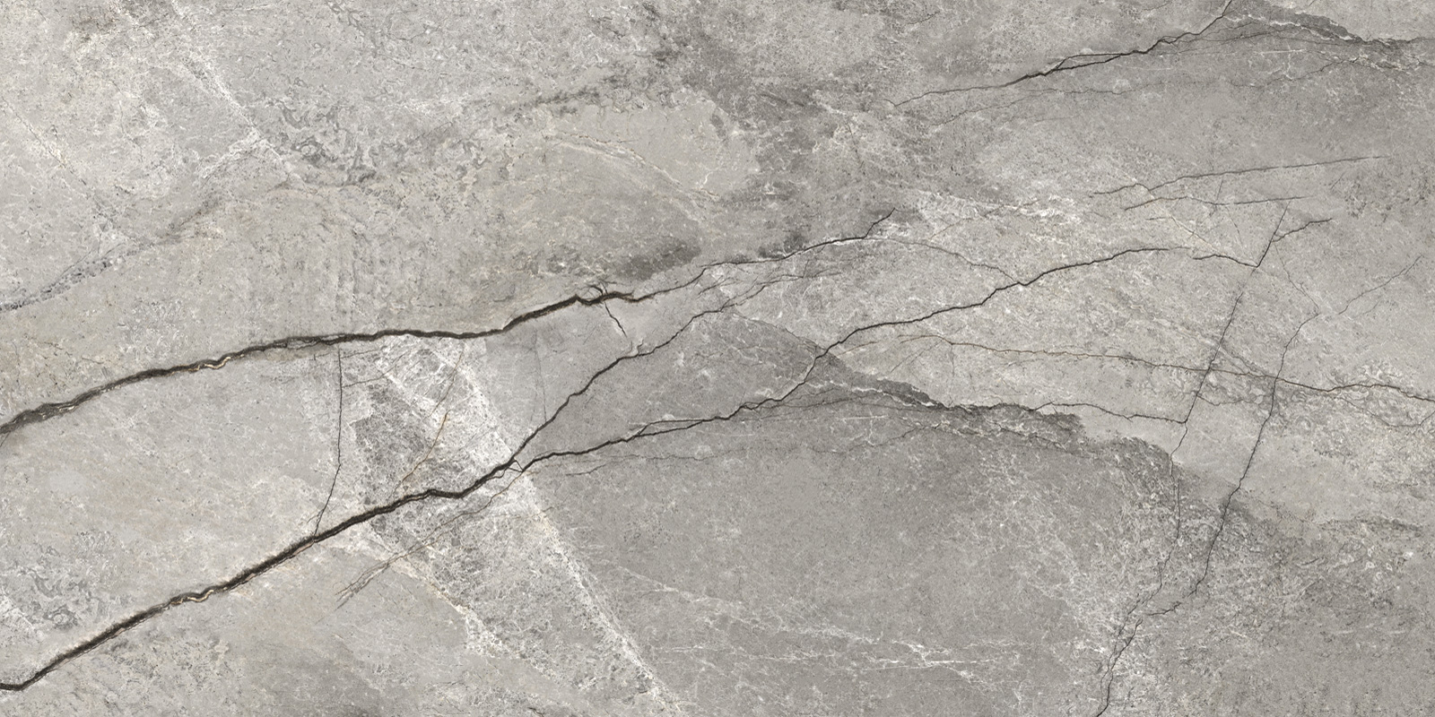 D12050M Oregon Gray 1200x600x9.5 Delacora
