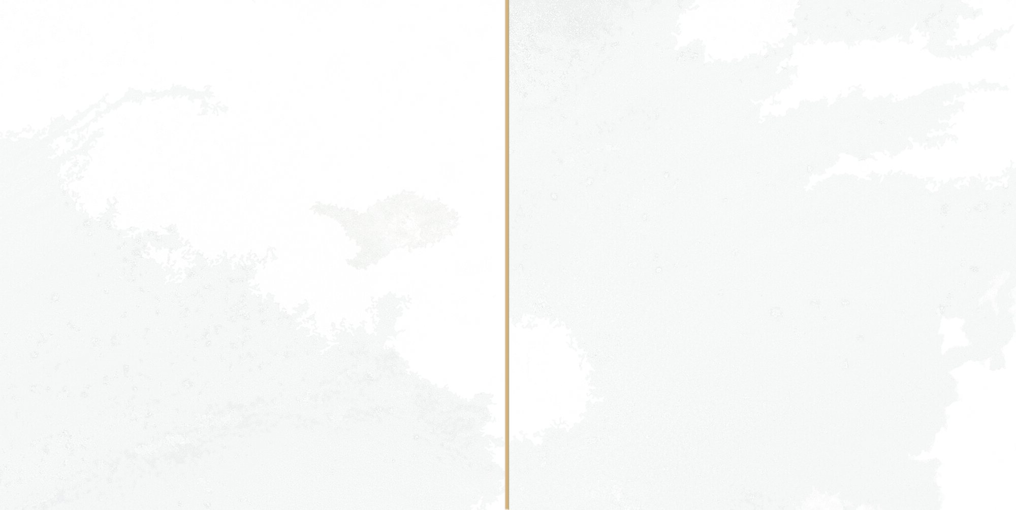 30896 FS Tradition Square White 20x40 Peronda фото 12