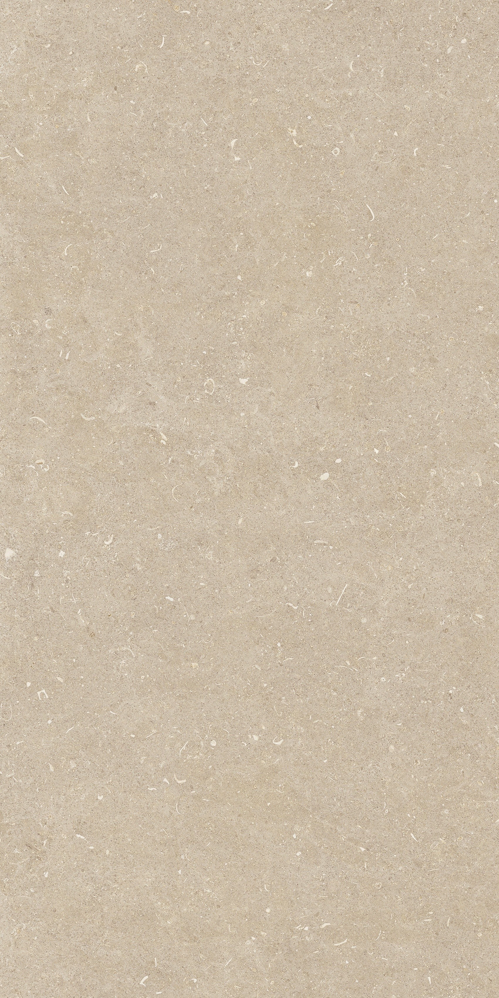 785481 Rinascenza Arena Conchiglia Matte 60x120 Casa Dolce Casa фото 3