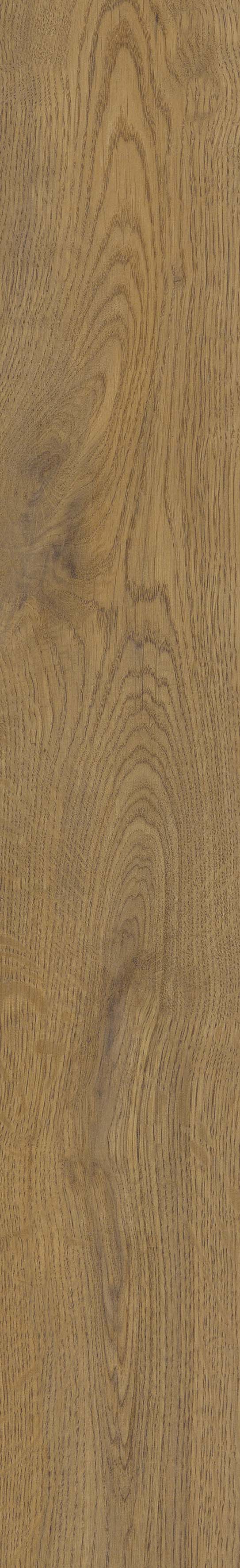 SGR51 Velaris Honey 9.2x60 Stargres фото 12