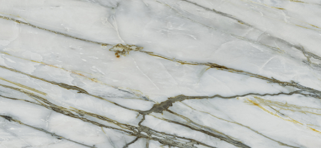 128572 Harmony Ret+Lev 120x260 Naxos