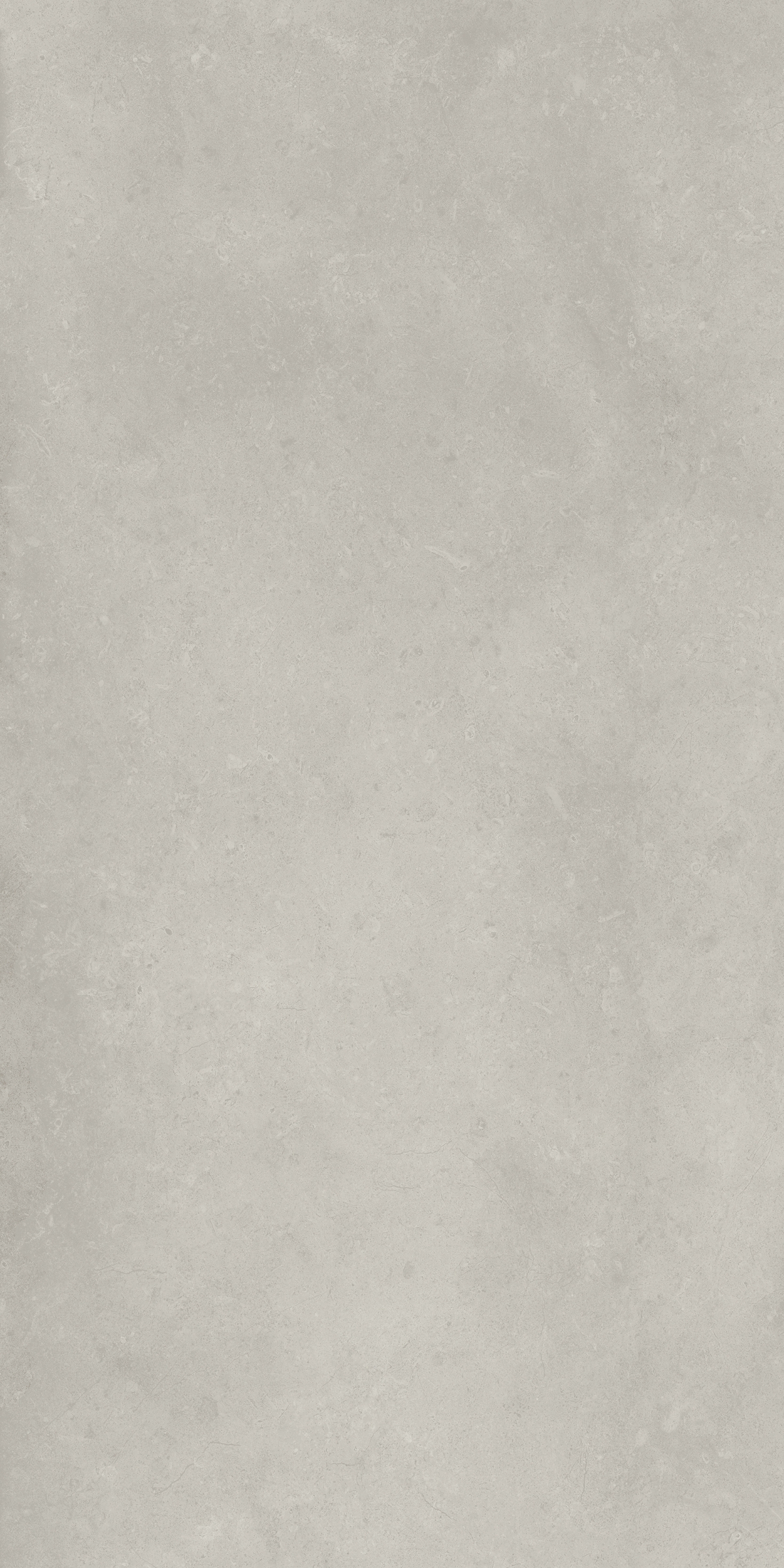 610010004099 Fossil Grey Nat Ret 60x120 Italon