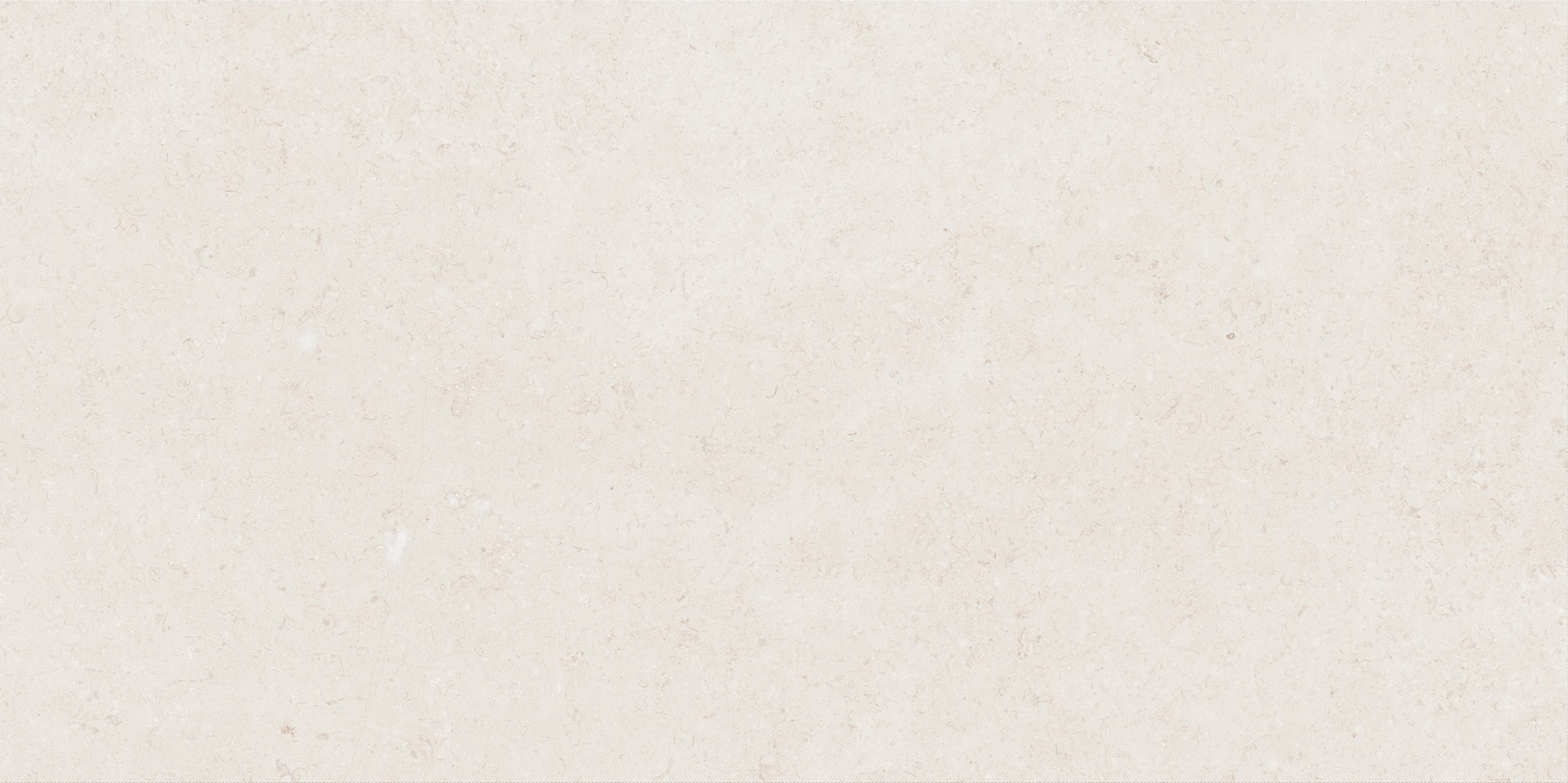 Mistic Light Grey Gloss 60x120 Realistik