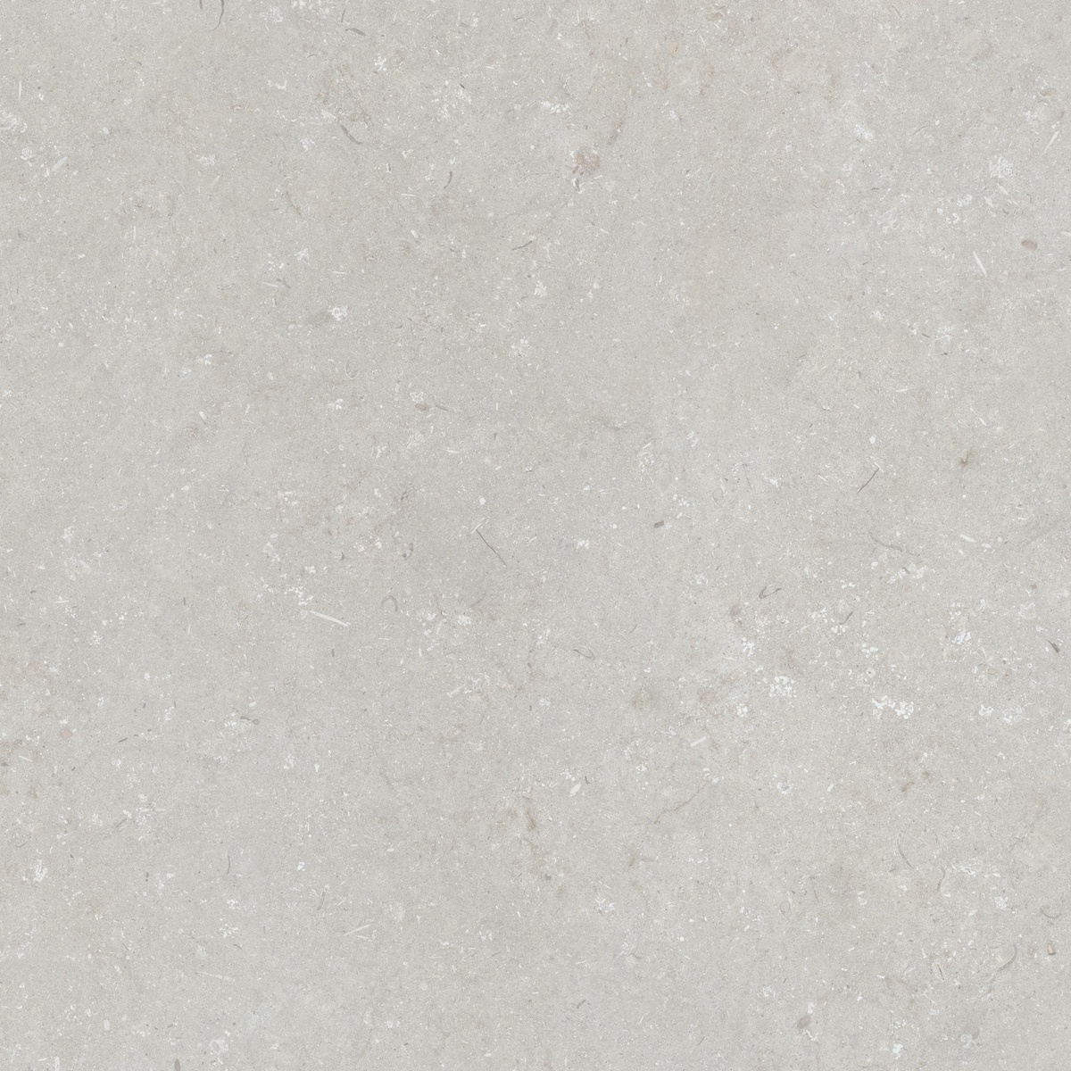 005847 Shellstone Bianco 120x120 Dado Ceramica