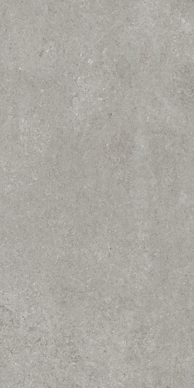 768317 Sensi Grey Fossil R+PTV Ret 60x120 Casa Dolce Casa