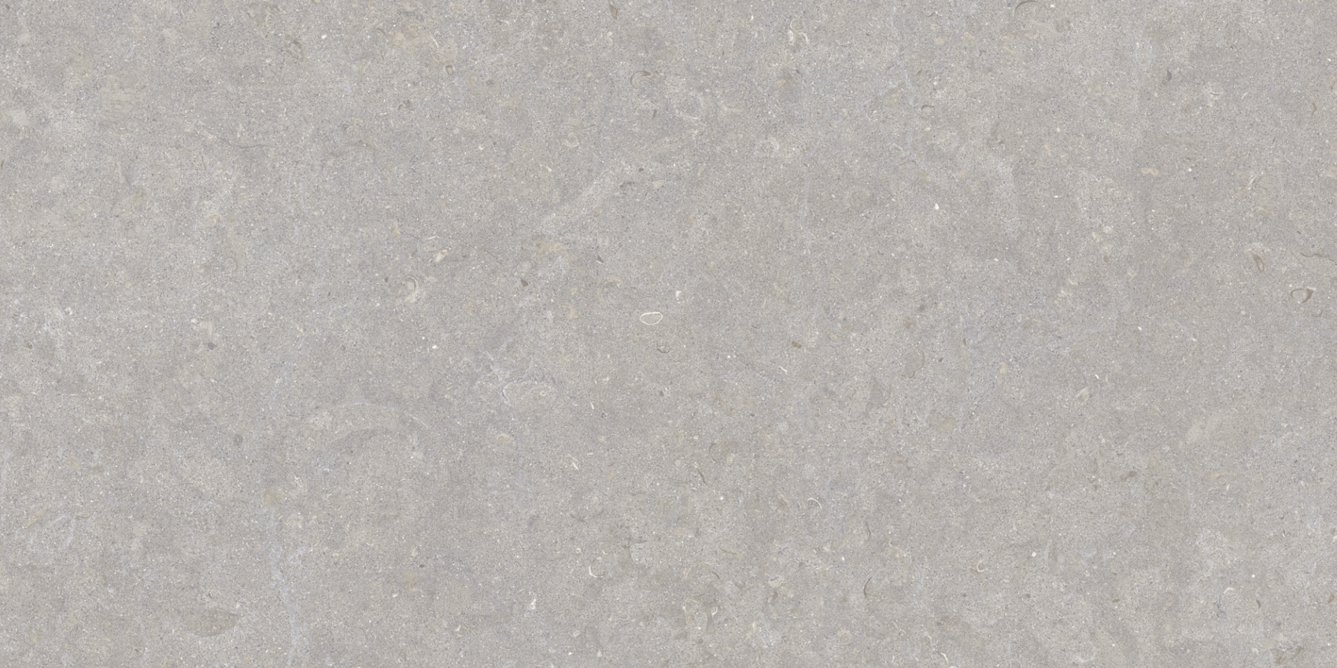 35568 Ghent Grey/50X100X2/A/R 50x100 Peronda фото 11