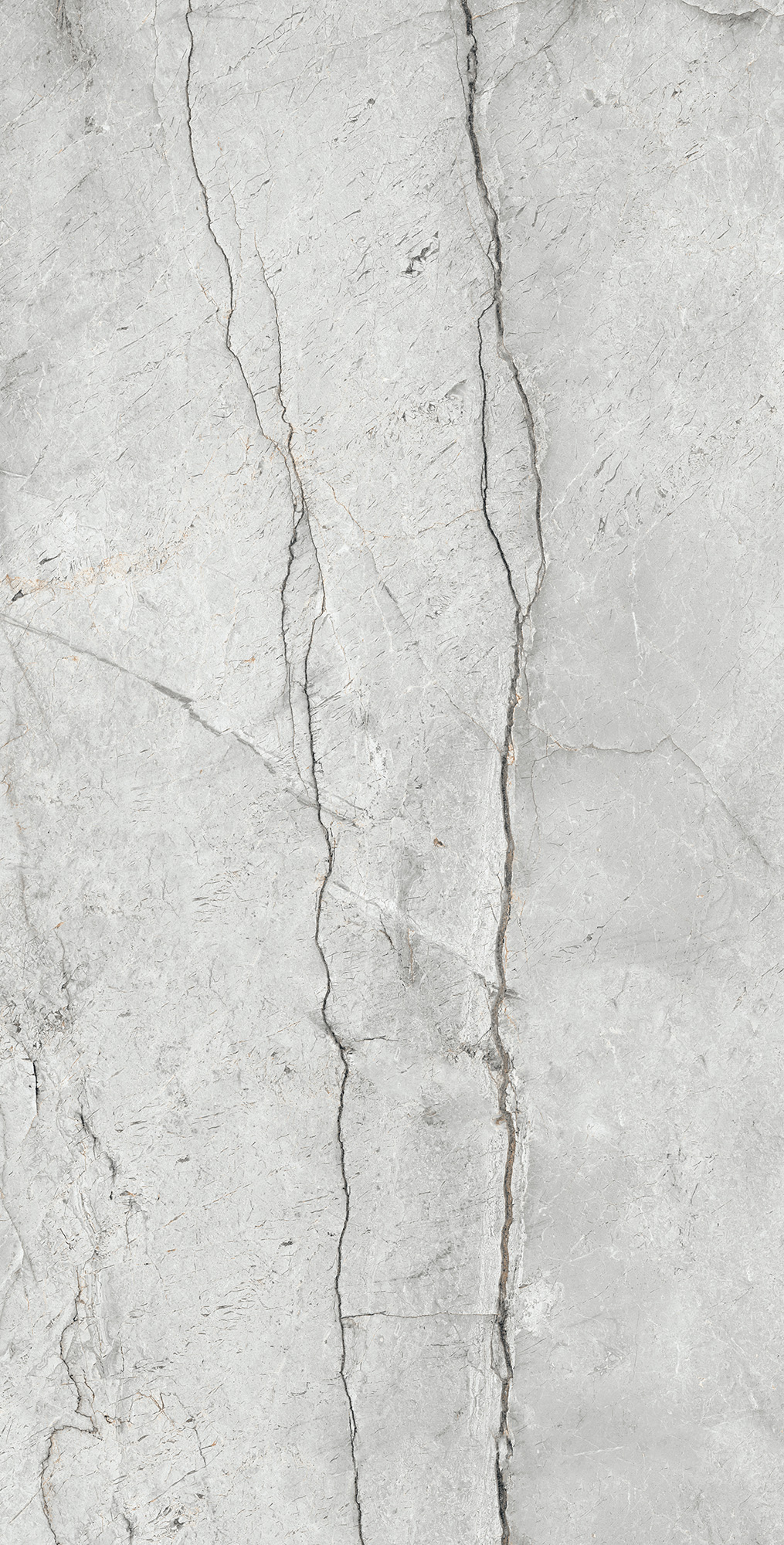 CR4013-A Condor Light Grey Carving 60x120 Arcadia Ceramica