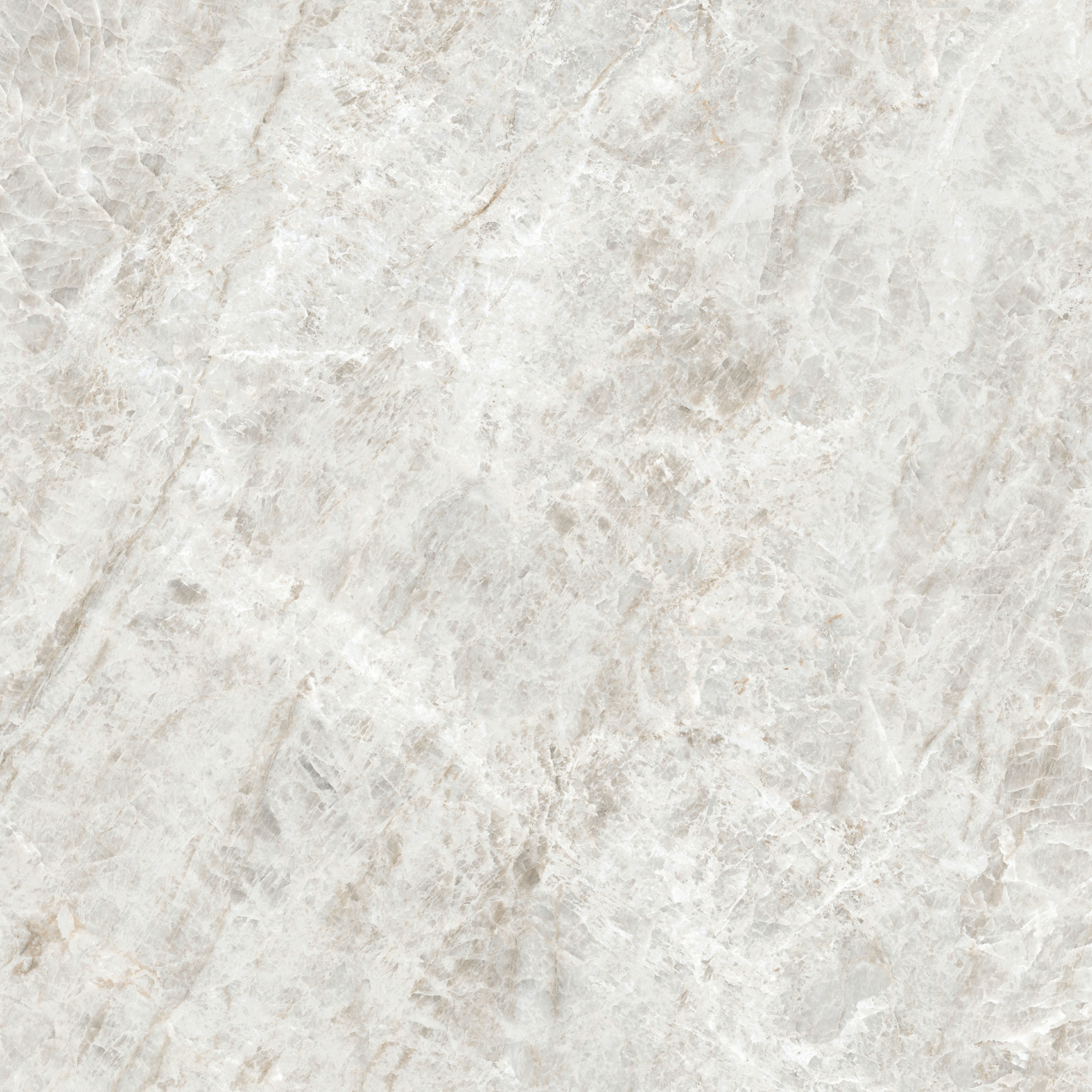 784524 Iconic Life Rice Yamuna Matte 60x60 Cerim фото 16