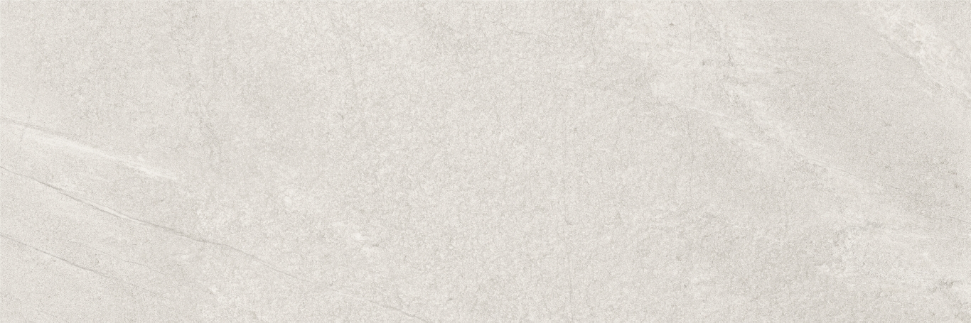 Nature Ash Rеct 40x120 Baldocer