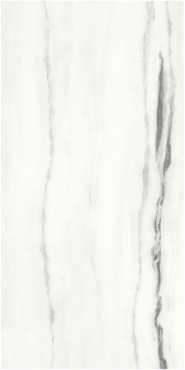 F918G10101 Panda White glossy 90x180 FMAX
