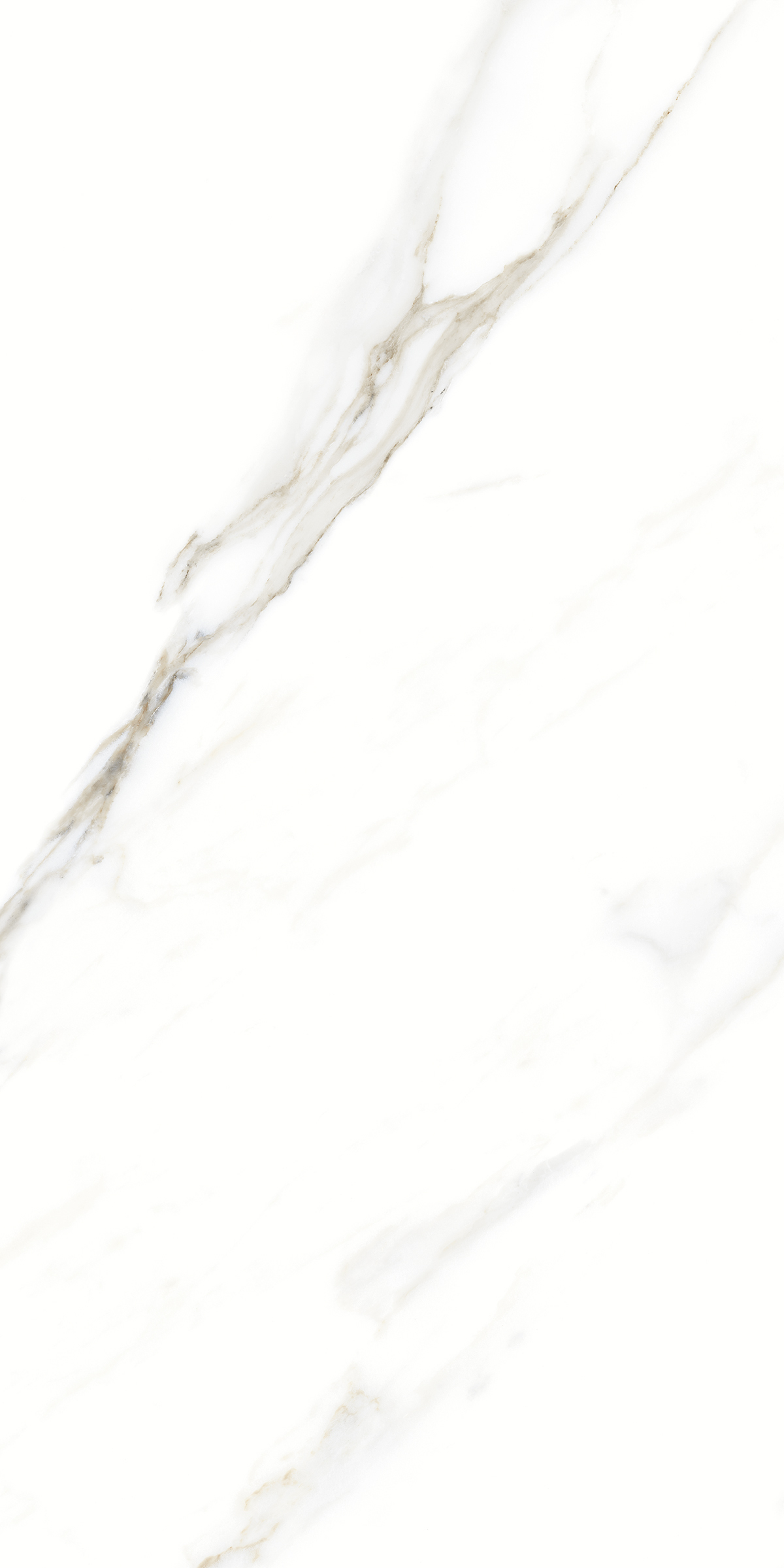 893 Fantastic White 120x60 Artcer