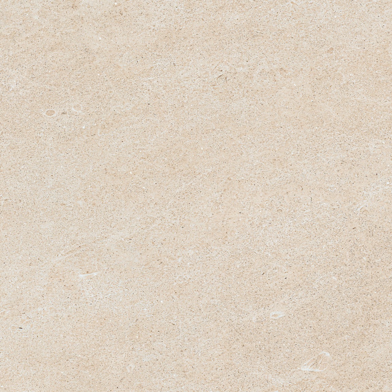 610010005835 Forte dei Marmi Rock Siberian Ivory Lastra 20mm 60x60 Atlas Concorde Russia
