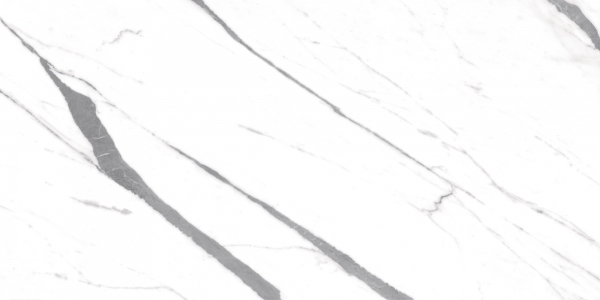 Carrara Smart Glossy 60x120 Realistik