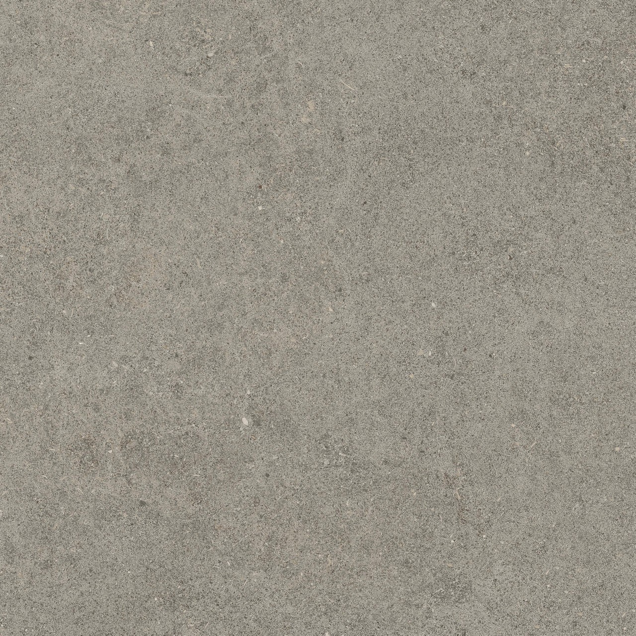 610010005836 Forte dei Marmi Rock Lunar Grey Lastra 20mm 60x60 Atlas Concorde Russia