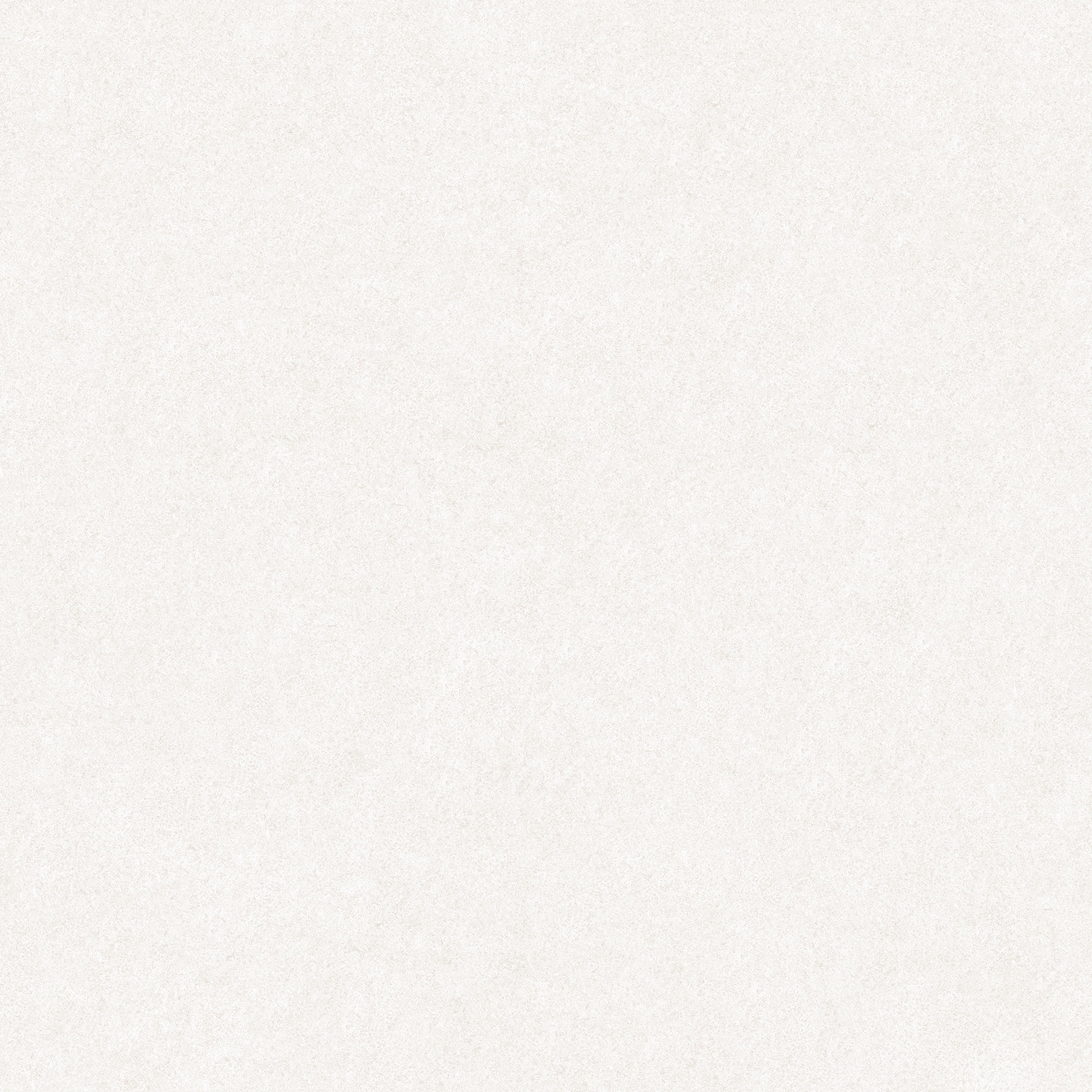 N4BA0MVNA2H1MJ Alma Light Gray Matt Rect 60x60 Goldis Tile