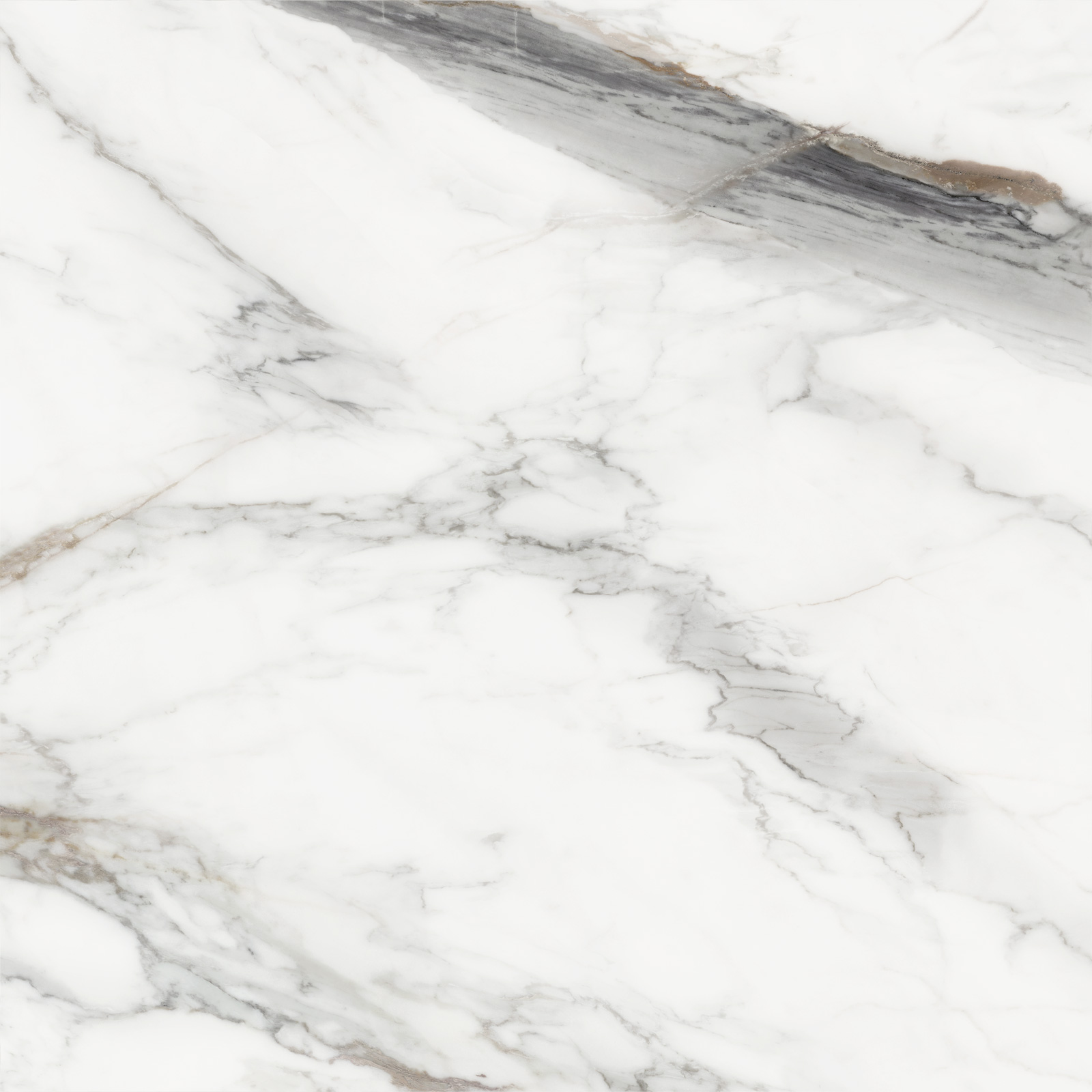 D60208M Carrara Cersei карвинг 600x600x9.5 Delacora