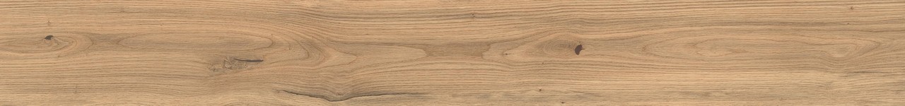 AX5U Log Icon Oak Forest Matte 20x180 Atlas Concorde