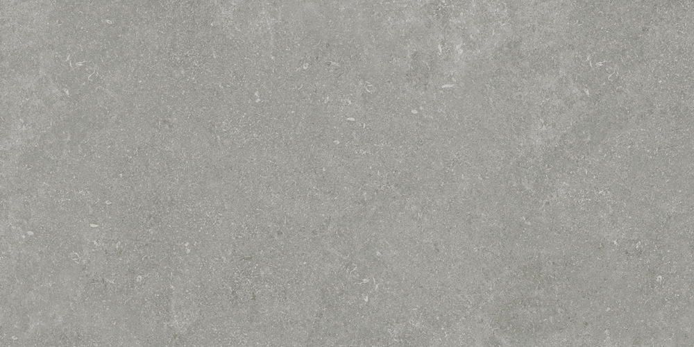 Granite Gloria Gray / Граните Глория Серый SR 120x60 Idalgo (Идальго)