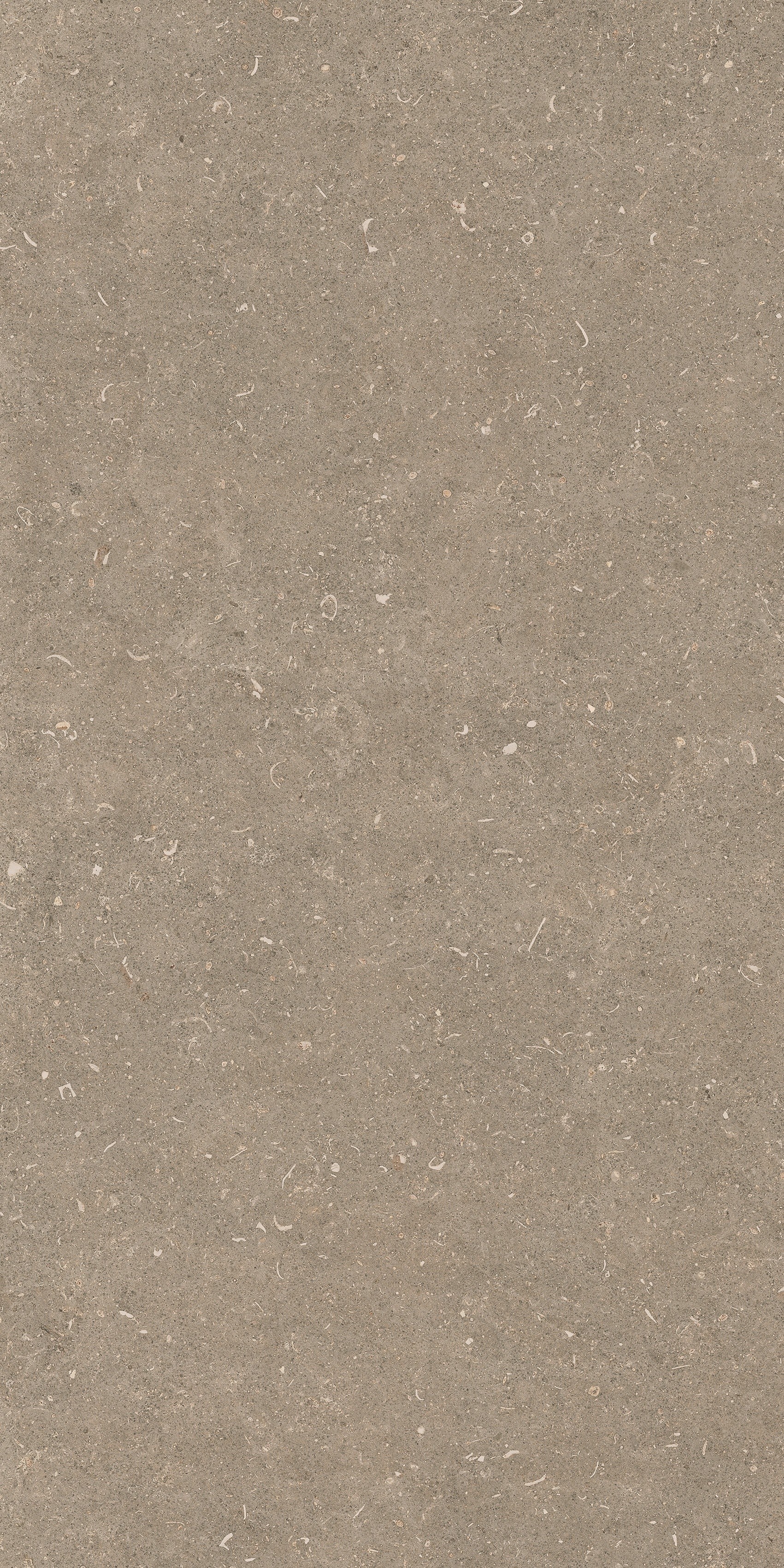 785482 Rinascenza Arena Pietra Matte 60x120 Casa Dolce Casa фото 8