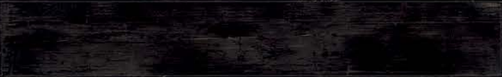 263000 Eterno Carbon 26,5x180 Versace (Gardenia Orchidea)