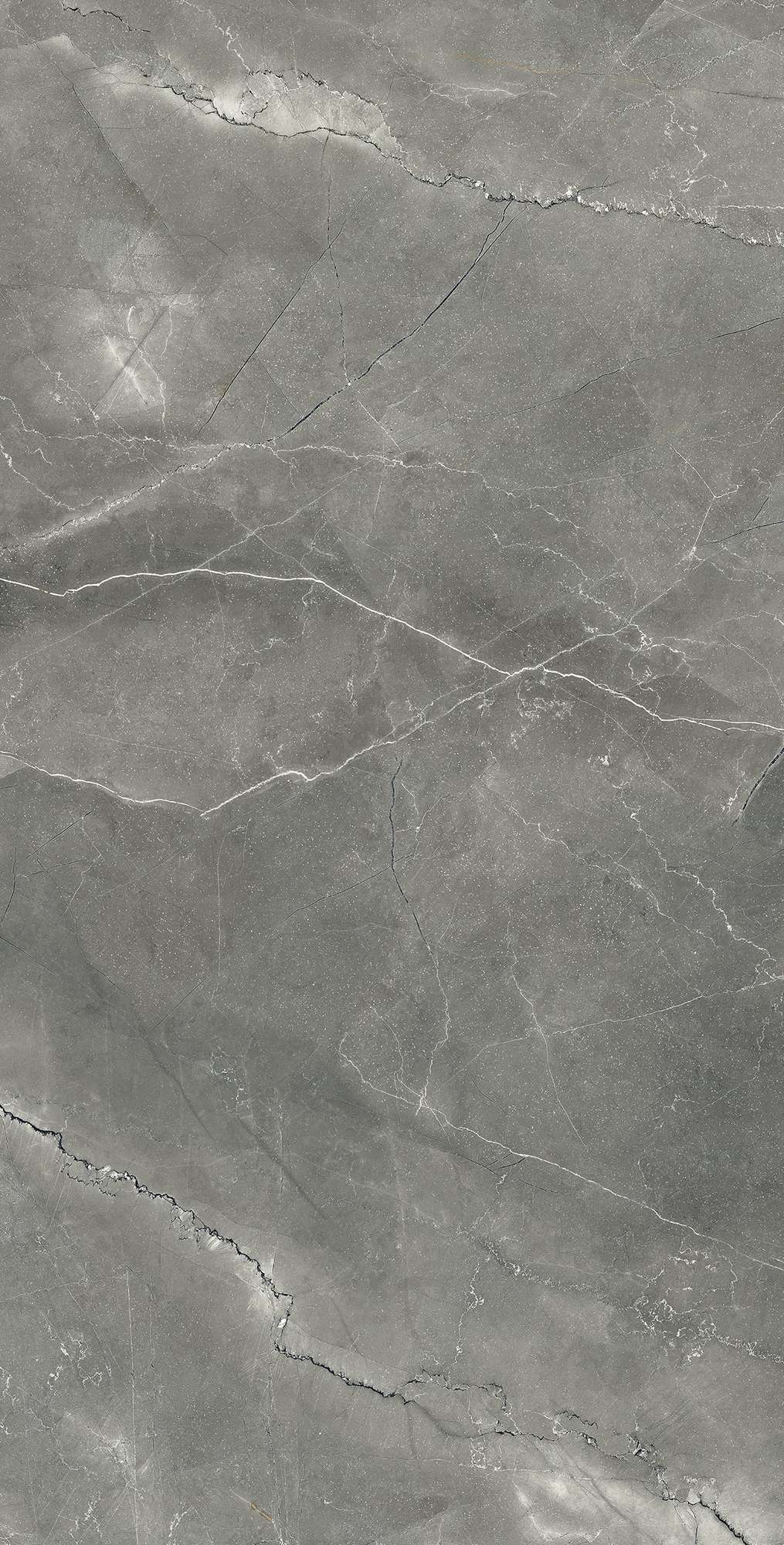 CR4002-A Pulpis Nero Carving 60x120 Arcadia Ceramica