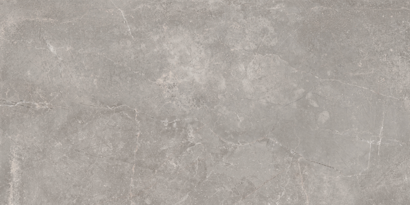 Concept Gray 60x120 Baldocer