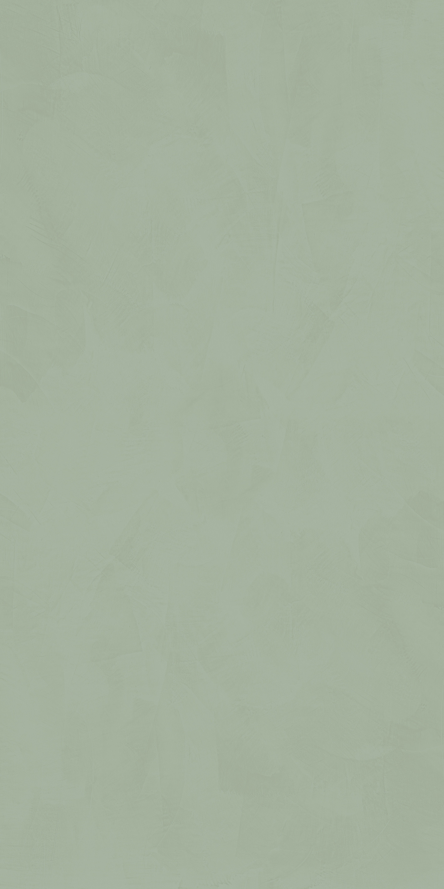 764046 Policroma Lichene Mat Ret 6mm 120x240 Cedit