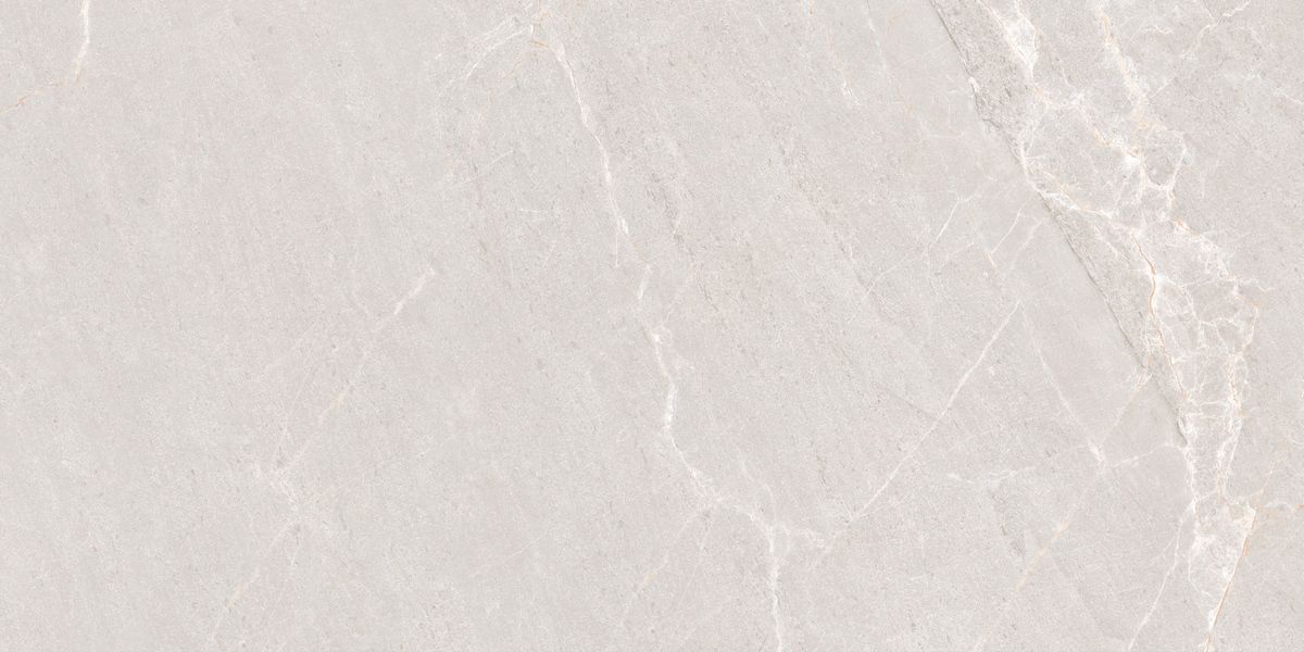 N20552 Persian Grey Matt 60x120 Neodom