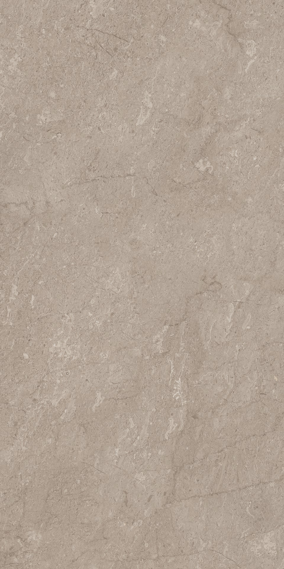 AEM02 Элемента Серый Неполированный Рект 60x120x9 Ametis by Estima фото 12