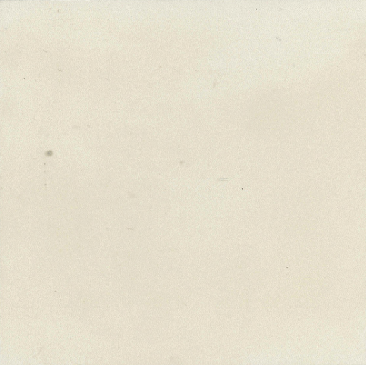 Bel Histoire Uni Albatre Mat 15x15 Revoir Paris