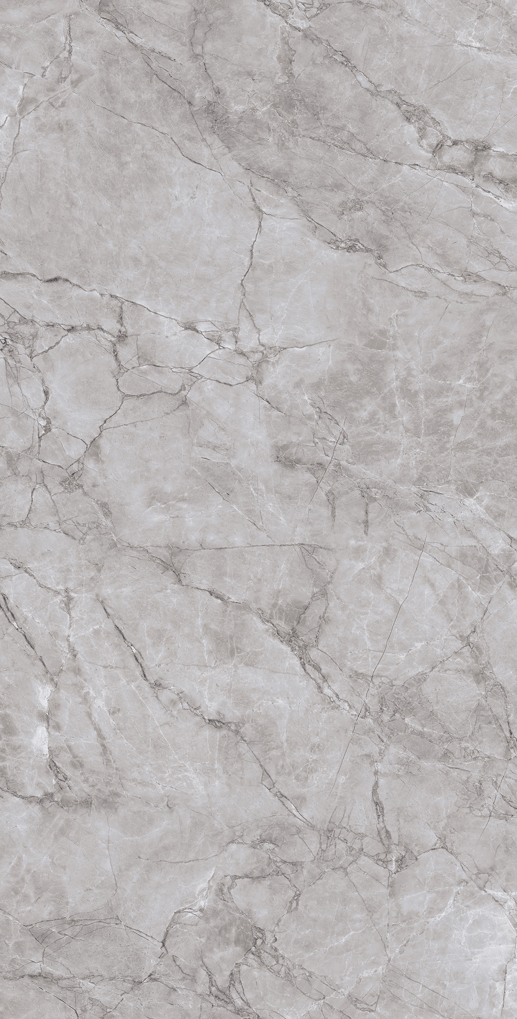 CL4005-A Arctic Grey Carving Lappato 60x120 Arcadia Ceramica