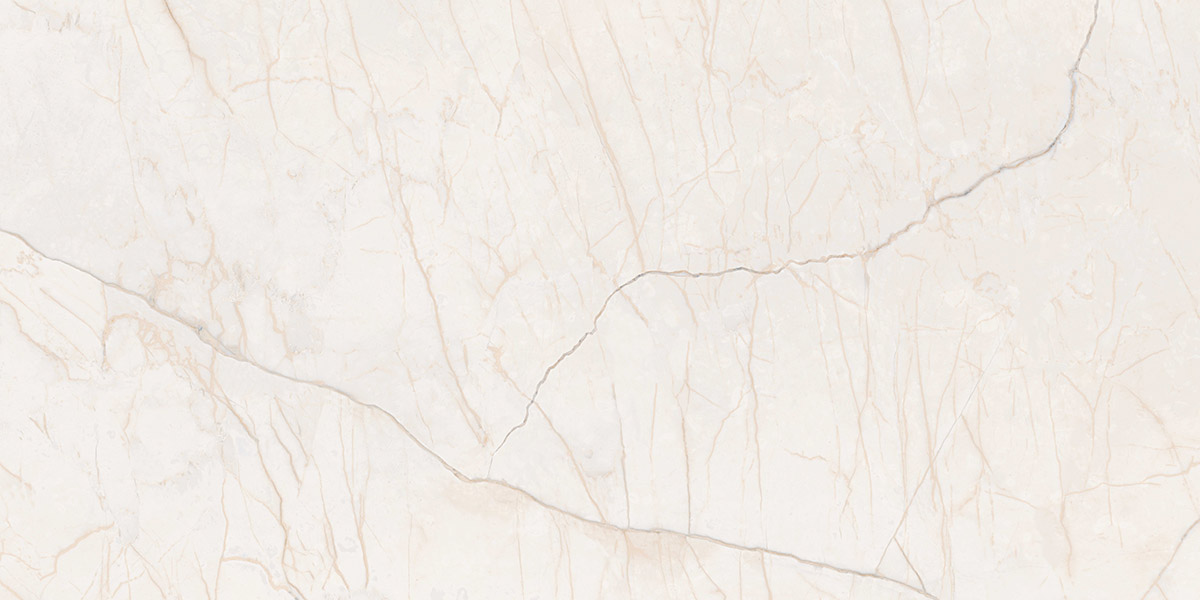G231 Iset Elegant MR 60x120 Гранитея