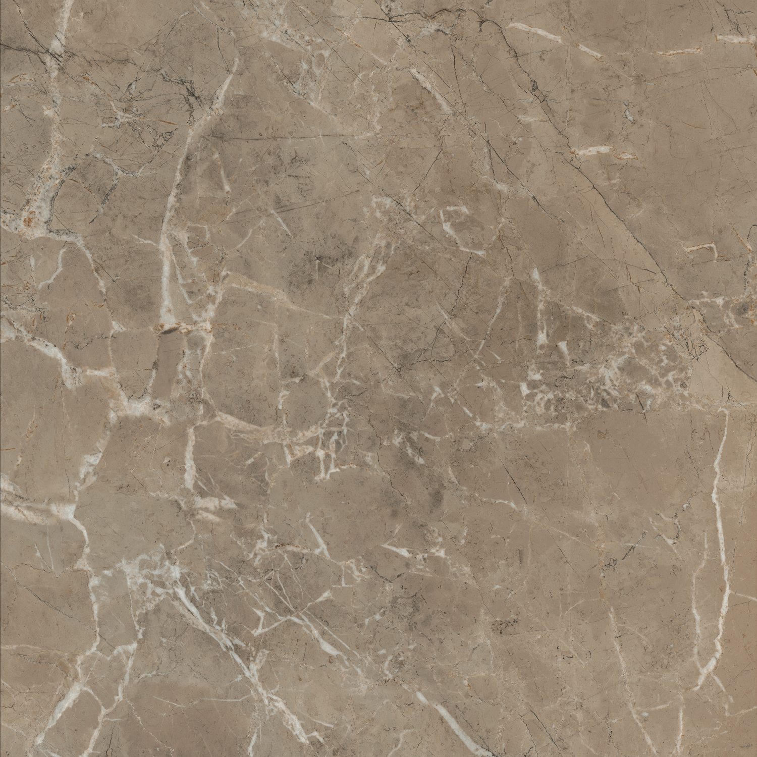 SG654122R Серенада бежевый тёмный лаппатированный обрезной 60x60 Kerama Marazzi фото 3