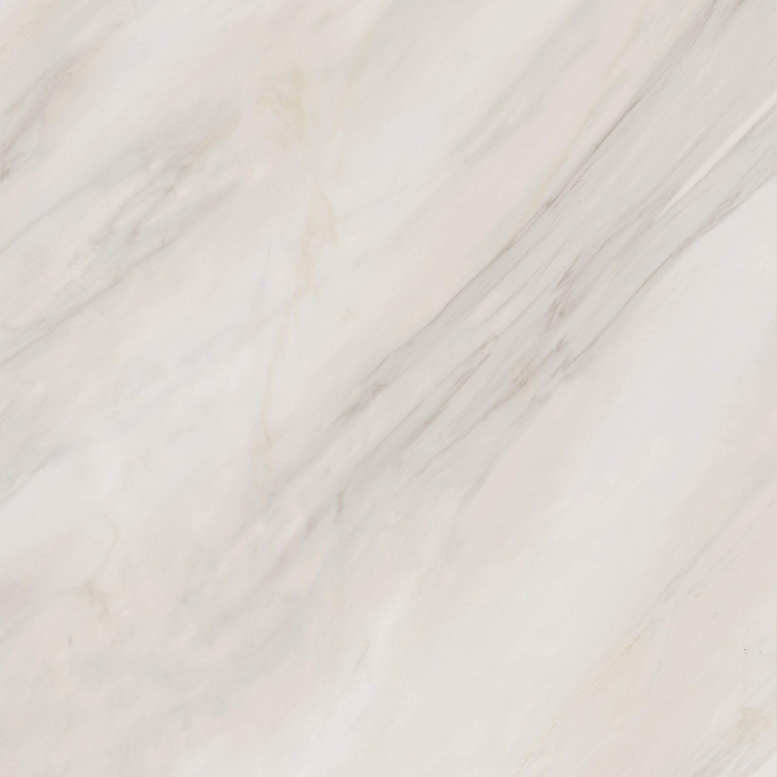 6060CAA01M Carolina Crema матовый 600x600x9.5 Delacora