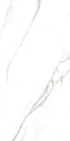LC202 Palido Beige Lapato Carving 60x120 PrimaVera
