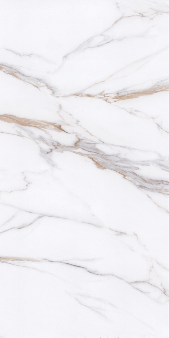 PT12P7059 Bianco Pol 1200х600х9 Protiles