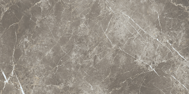 ECC2 Persian Grey Silk RT 60x120 Keope