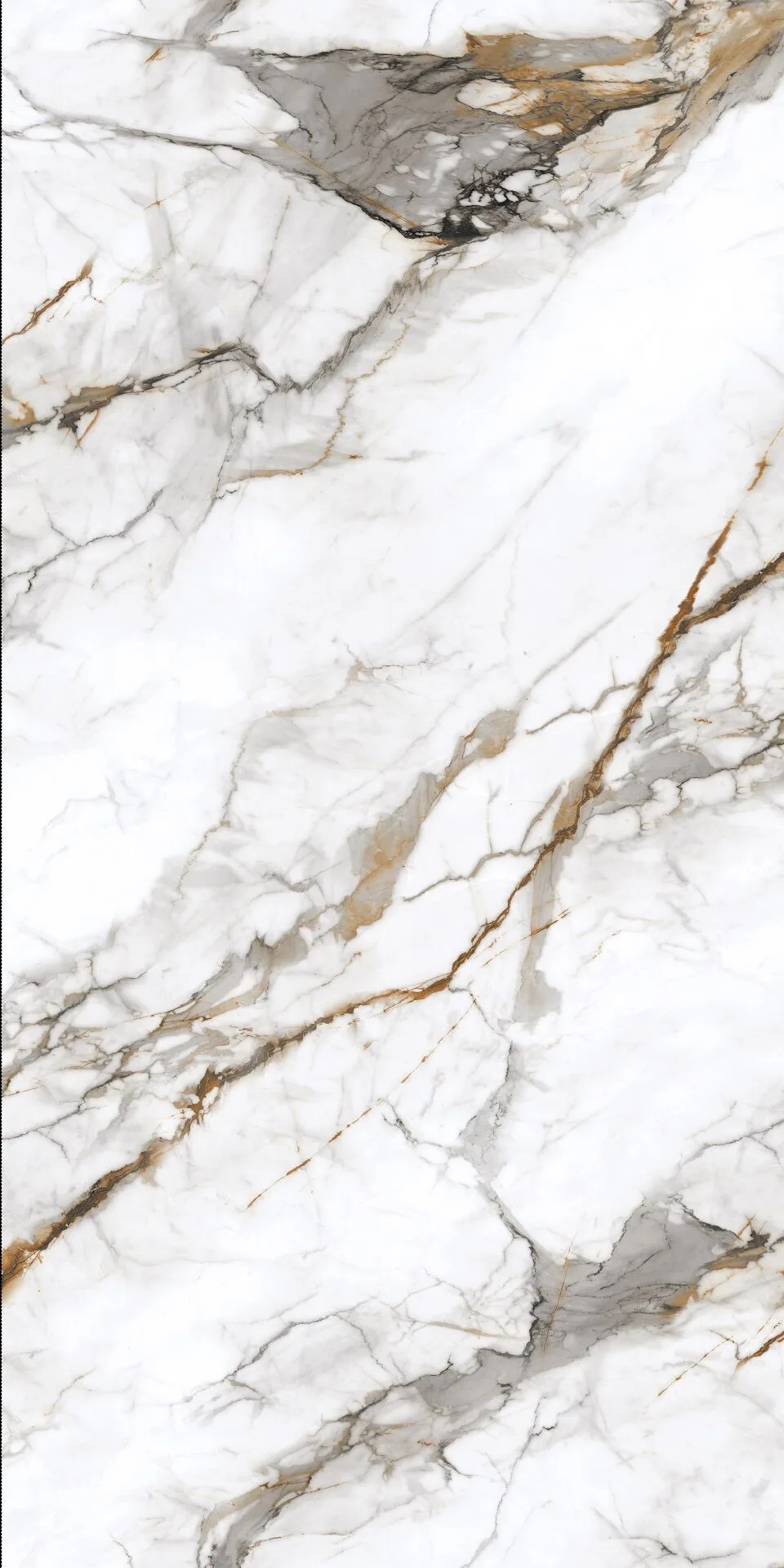 PT12P7081 Royal Marble Полированная 1200х600х9 Protiles фото 3