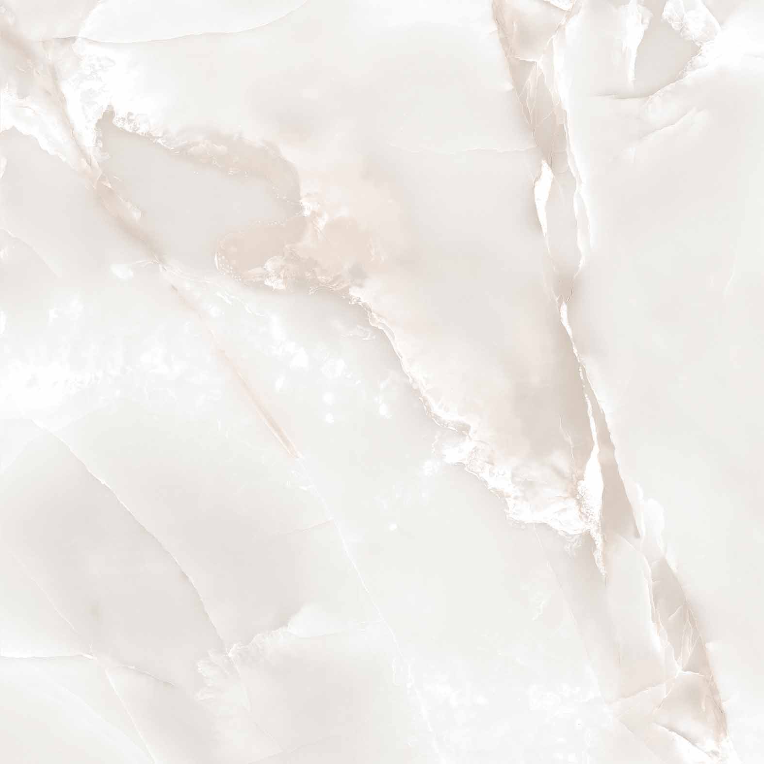 RT6005-A Primo Onyx Grey Matt Rustic 60x60 Arcadia Ceramica фото 9