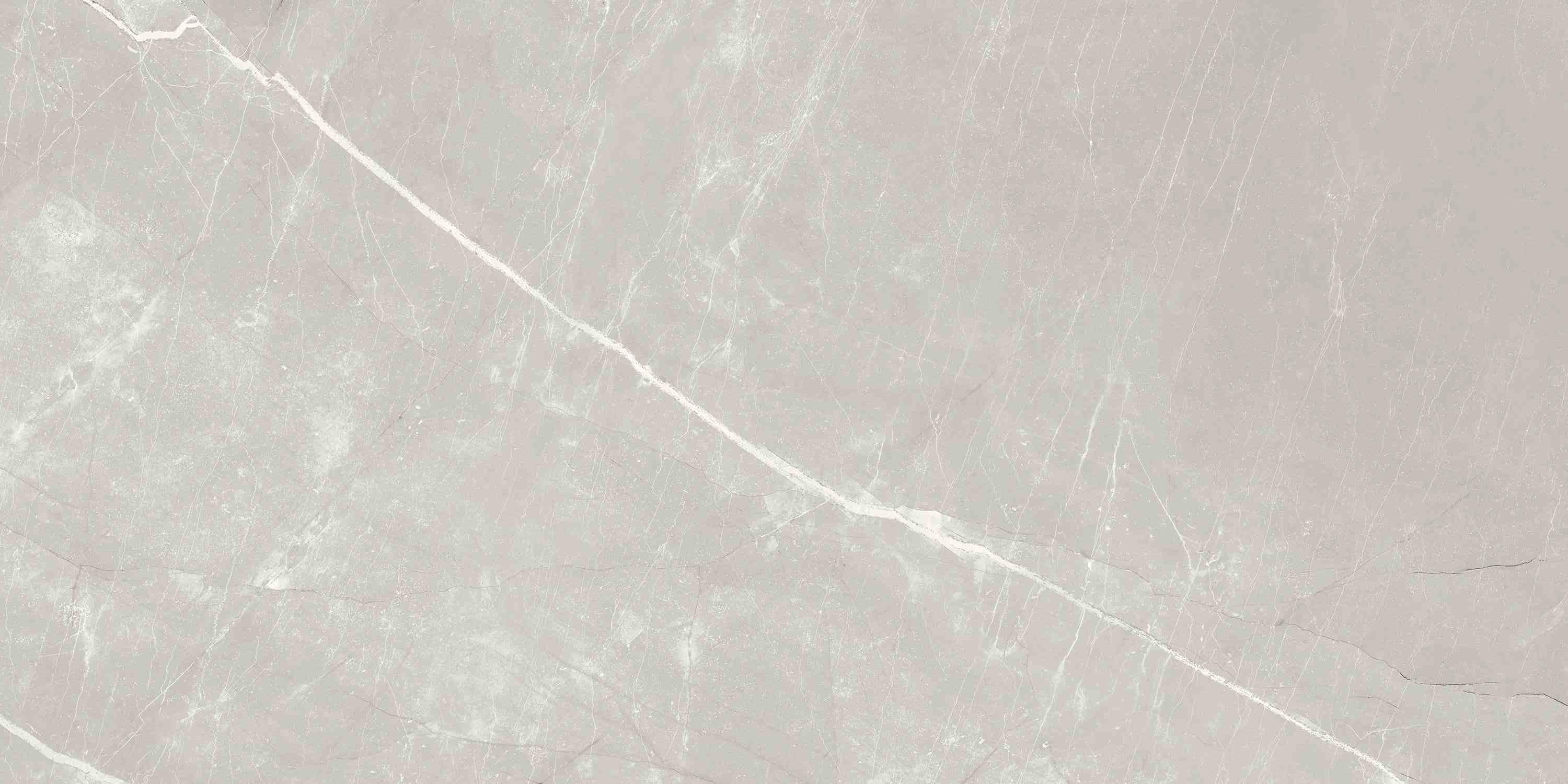 ENSTN7004MT60120 Alaska Grey Matt 60x120 Ennface