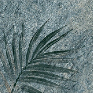 TR3333 Tropic 33х33 Serapool