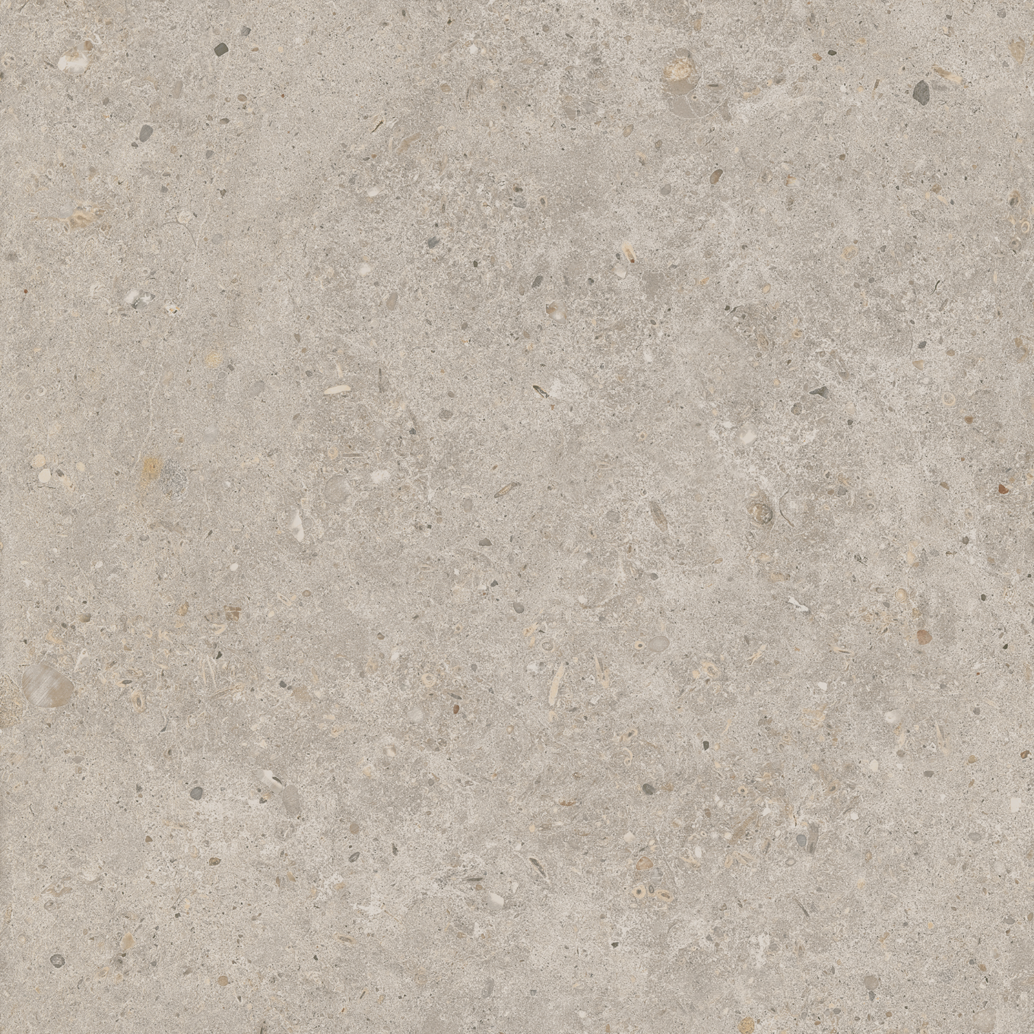 SG653820R Риккарди бежевый матовый обрезной 60x60 Kerama Marazzi