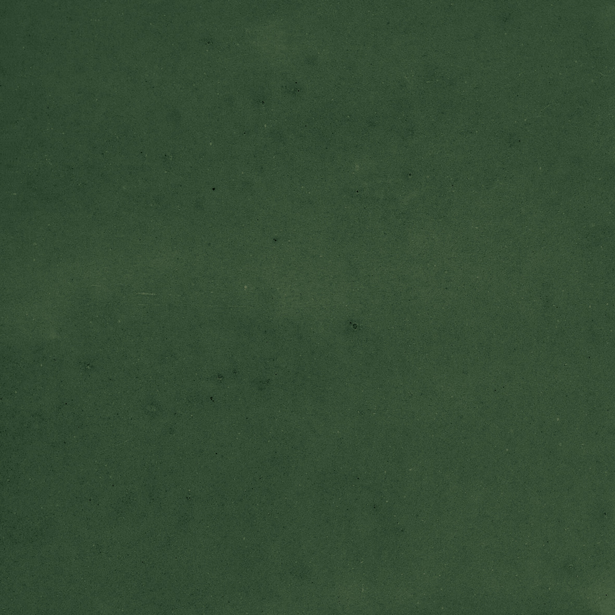 43289 Samira Green 10x10 Harmony фото 3