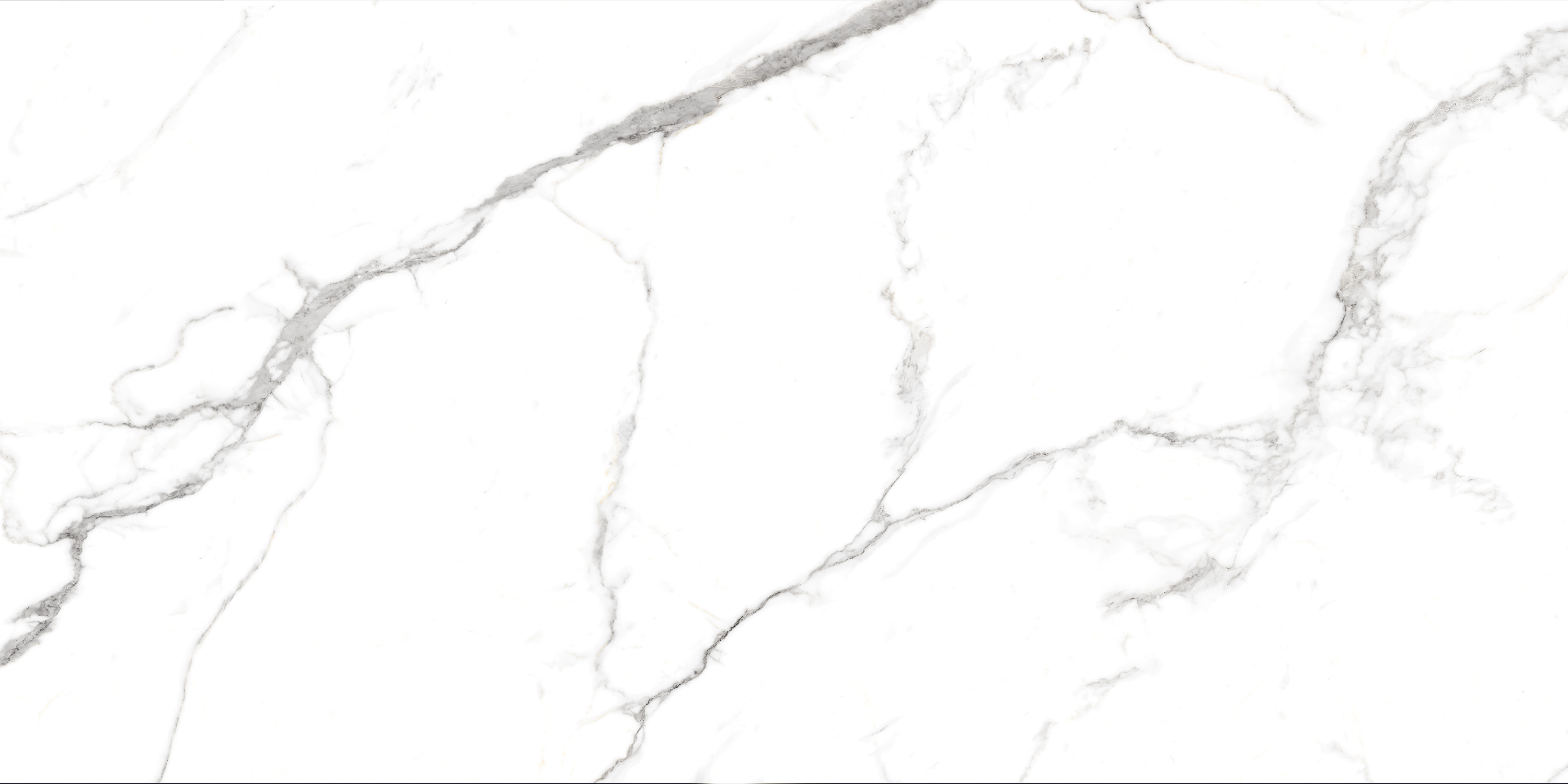 Сlassic Statuario Matt 60x120 Casati Ceramica