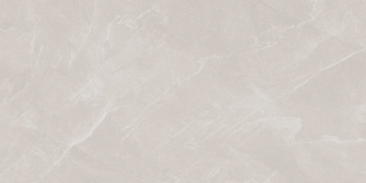 Archie Bianco Pro светло-серый матовый R10GR STR 60х120 Laparet