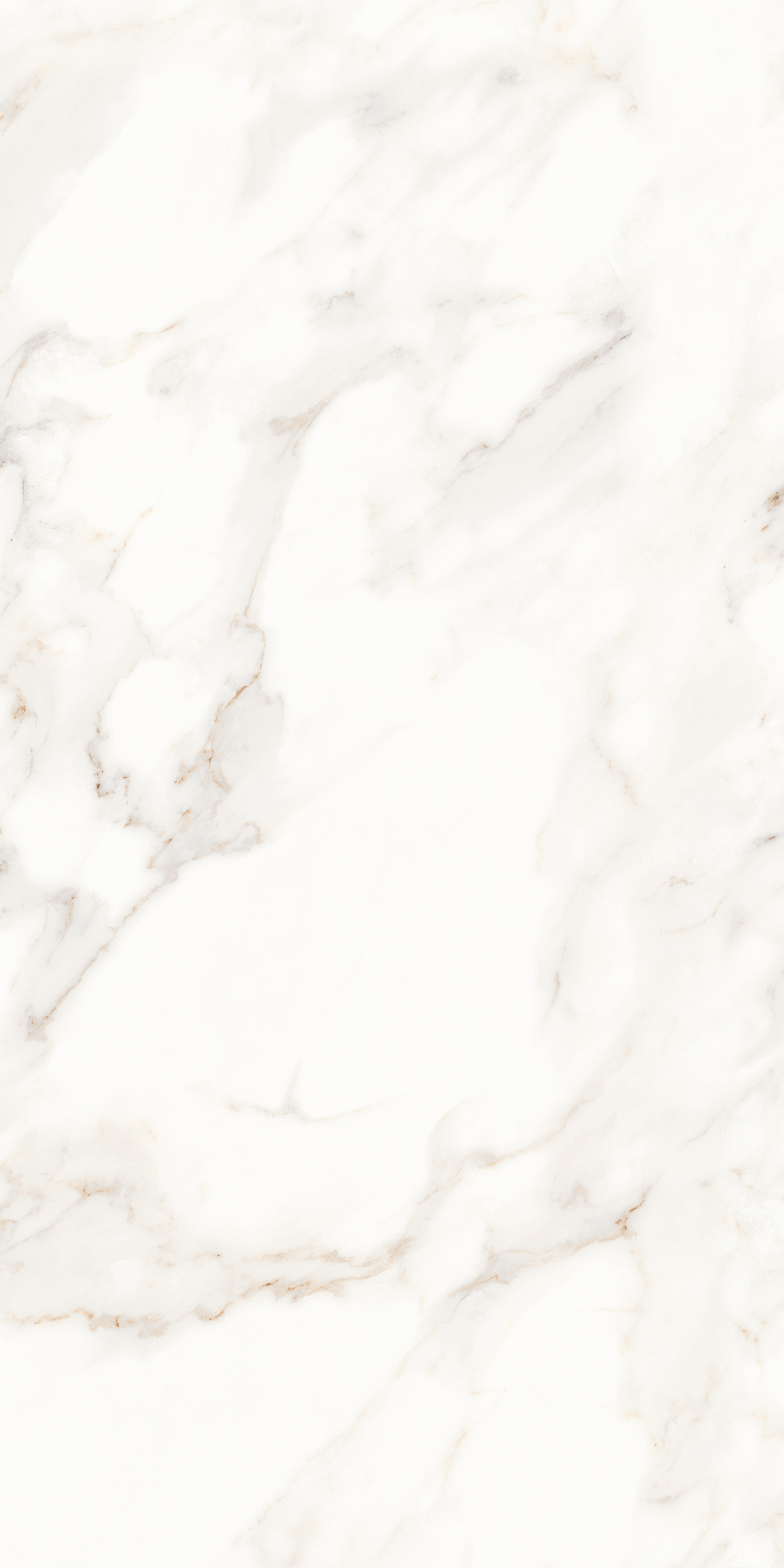 MPL-058622 Calacatta Satin 60x120 Creto