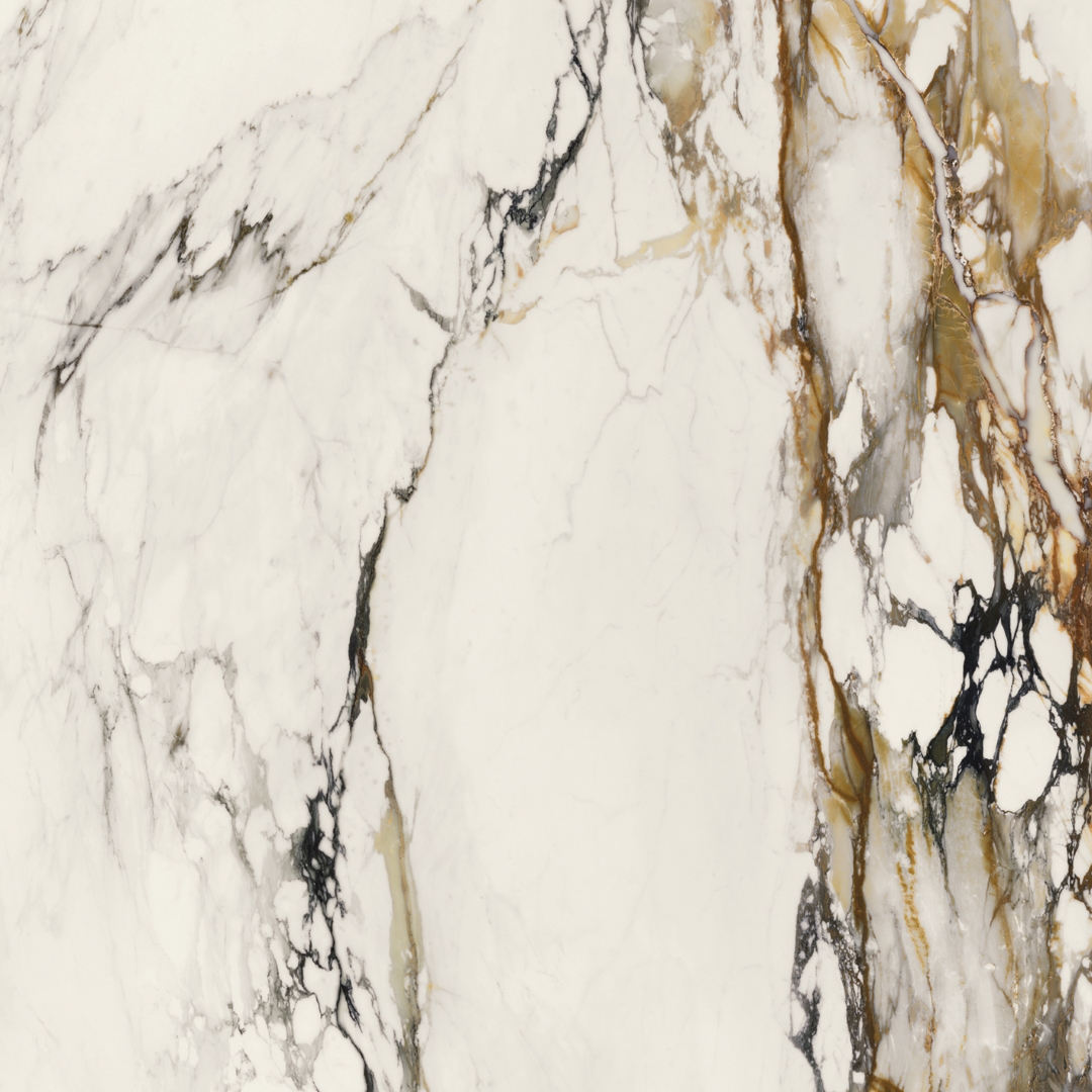 100331132 Xlight Paonazzo Biondo Polished 120x120 Porcelanosa фото 2