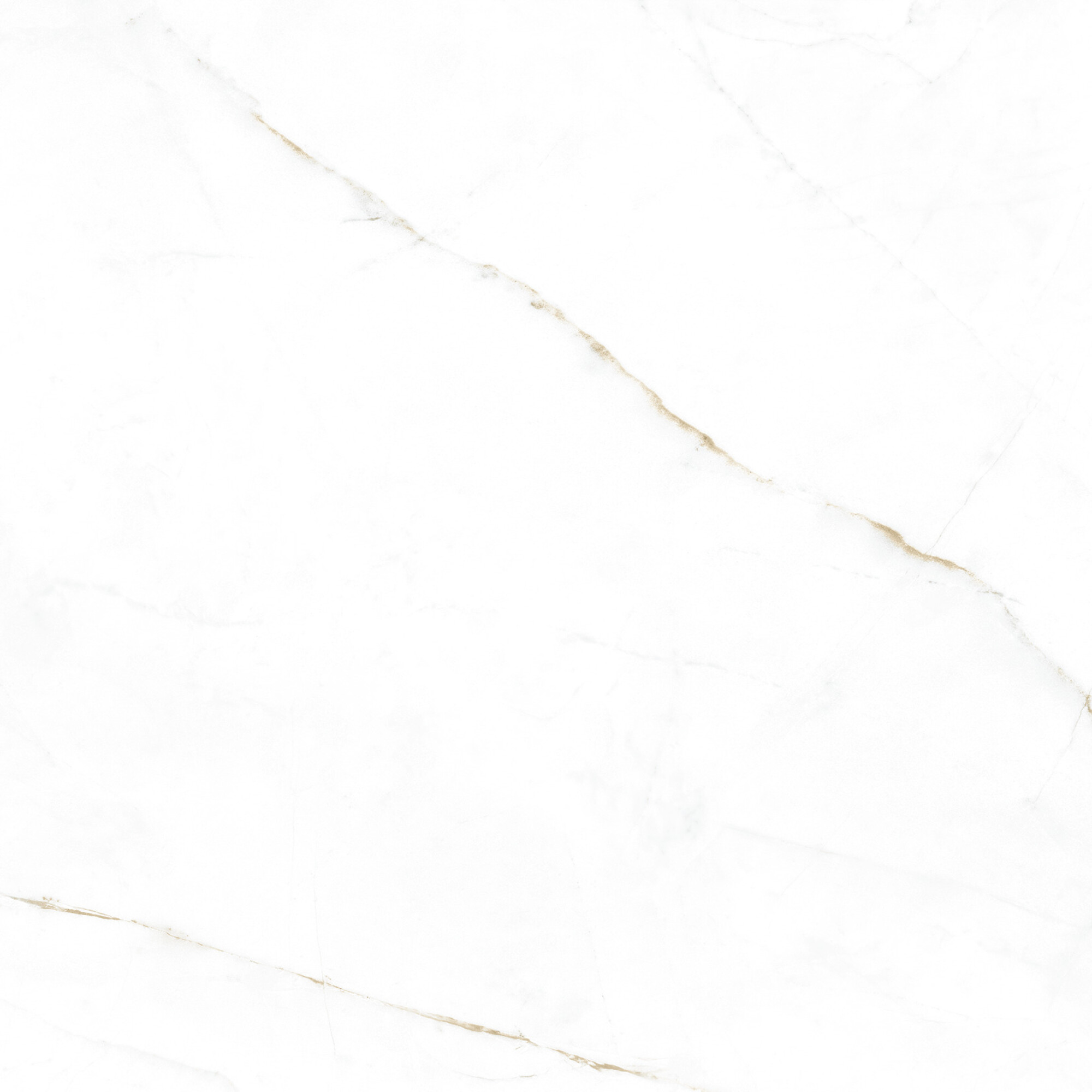 41145 Dual White SP/100x100x0,8/R 100x100 Peronda